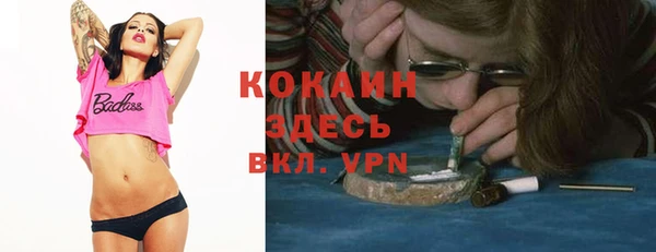 твердый Вязники