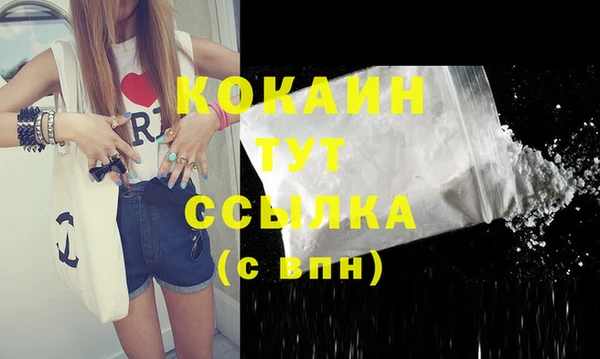 твердый Вязники