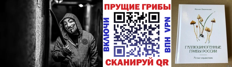 Купить  Киржач  Галлюциногенные грибы Cubensis 